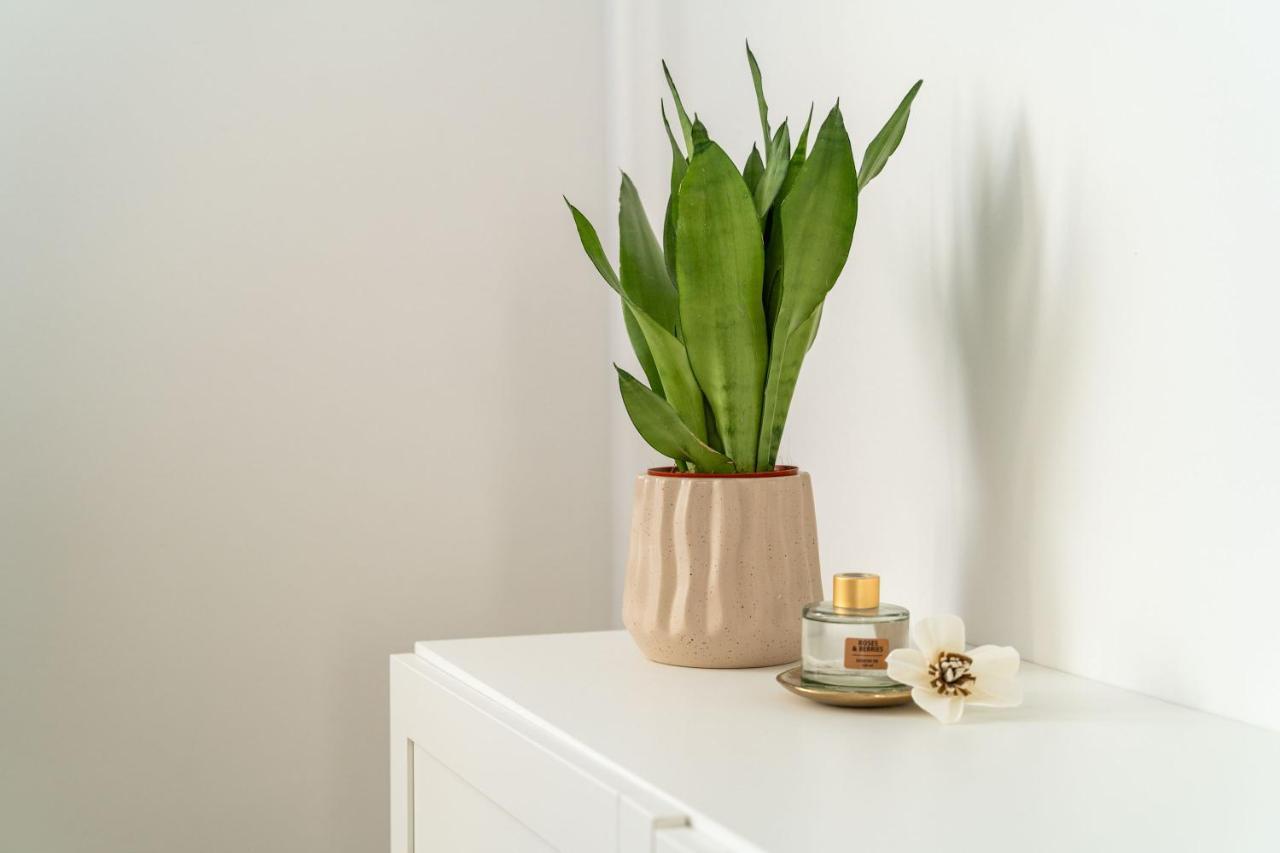 Olive Family House Apartment Mlini Bagian luar foto